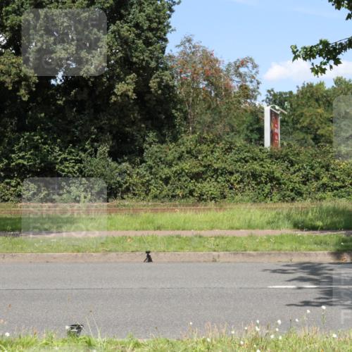 10.08.2025 - GEWOBA Citytriathlon Bremen Yannick Fuchs http://msf.ph/oto/8570708 10.08.2025 14:26:20 Radfahren 231, 278, 360, 404, 453 meine-sportfotos.de
