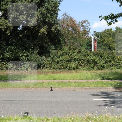 10.08.2025 - GEWOBA Citytriathlon Bremen Yannick Fuchs http://msf.ph/oto/8570715 10.08.2025 14:26:23 Radfahren 231, 278, 360, 404, 453, 532 meine-sportfotos.de