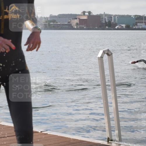 17.08.2025 - KN Förde Triathlon 2025 KatJ http://msf.ph/oto/8575847 17.08.2025 09:09:52 Schwimmen 108, 110, 108 meine-sportfotos.de