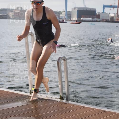 17.08.2025 - KN Förde Triathlon 2025 KatJ http://msf.ph/oto/8575869 17.08.2025 09:10:05 Schwimmen 102, 110, 120, 102, 110, 120 meine-sportfotos.de