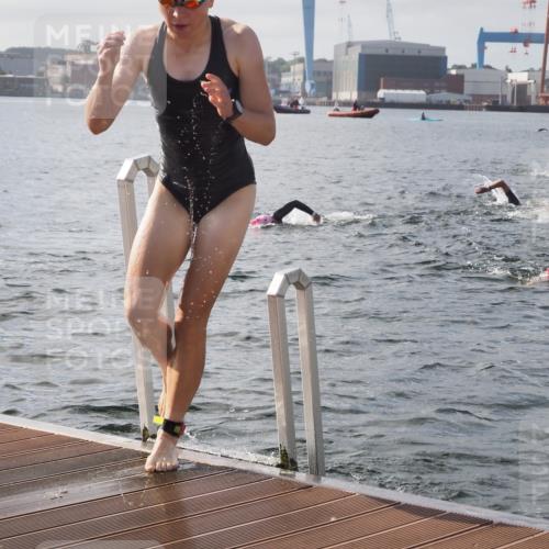 17.08.2025 - KN Förde Triathlon 2025 KatJ http://msf.ph/oto/8575870 17.08.2025 09:10:05 Schwimmen 102, 110, 120, 102, 110, 120 meine-sportfotos.de