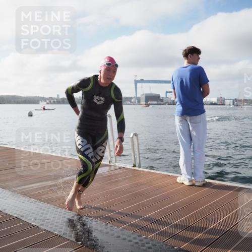 17.08.2025 - KN Förde Triathlon 2025 KatJ http://msf.ph/oto/8576052 17.08.2025 09:10:44 Schwimmen 113, 121, 113, 121 meine-sportfotos.de
