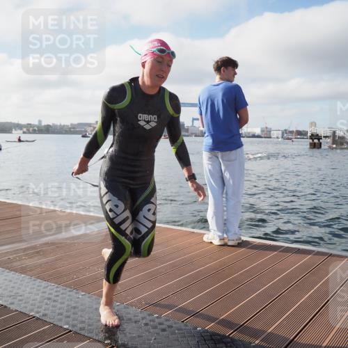 17.08.2025 - KN Förde Triathlon 2025 KatJ http://msf.ph/oto/8576056 17.08.2025 09:10:44 Schwimmen 113, 121, 113, 121 meine-sportfotos.de