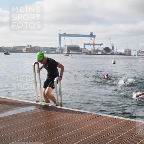 17.08.2025 - KN Förde Triathlon 2025 KatJ http://msf.ph/oto/8576069 17.08.2025 09:11:08 Schwimmen 116, 117, 116, 117 meine-sportfotos.de