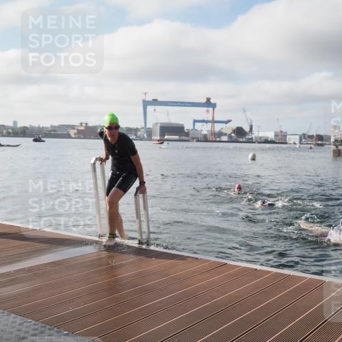 17.08.2025 - KN Förde Triathlon 2025 KatJ http://msf.ph/oto/8576075 17.08.2025 09:11:08 Schwimmen 116, 117, 116, 117 meine-sportfotos.de