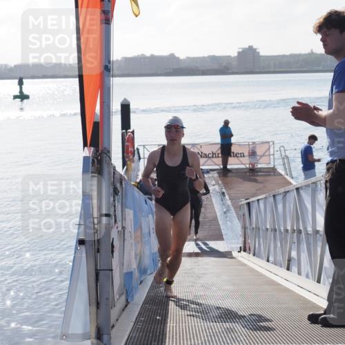 17.08.2025 - KN Förde Triathlon 2025 MichiJ http://msf.ph/oto/8576333 17.08.2025 09:10:13 Schwimmen 102, 110, 102, 109, 114, 119, 120 meine-sportfotos.de