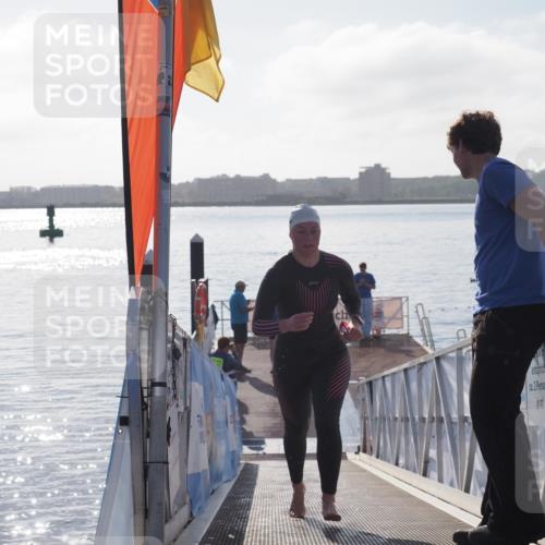 17.08.2025 - KN Förde Triathlon 2025 MichiJ http://msf.ph/oto/8576872 17.08.2025 09:12:28 Schwimmen 127, 127 meine-sportfotos.de