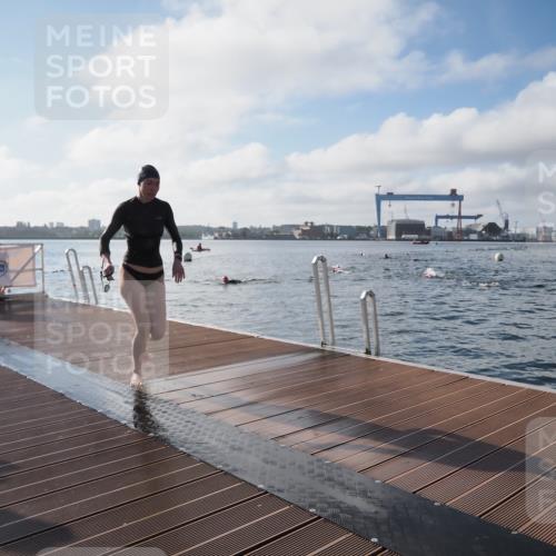17.08.2025 - KN Förde Triathlon 2025 KatJ http://msf.ph/oto/8576965 17.08.2025 09:15:41 Schwimmen 131, 131, 141 meine-sportfotos.de