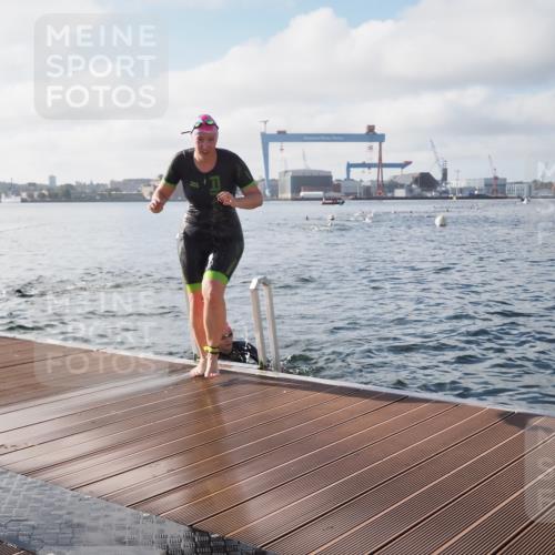 17.08.2025 - KN Förde Triathlon 2025 KatJ http://msf.ph/oto/8577222 17.08.2025 09:16:32 Schwimmen 144, 160, 166, 172, 144, 160, 166, 172 meine-sportfotos.de