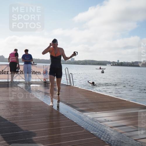 17.08.2025 - KN Förde Triathlon 2025 KatJ http://msf.ph/oto/8577458 17.08.2025 09:17:05 Schwimmen 158, 169, 204, 158, 204 meine-sportfotos.de