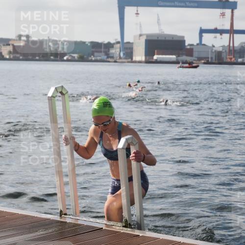 17.08.2025 - KN Förde Triathlon 2025 KatJ http://msf.ph/oto/8577461 17.08.2025 09:17:11 Schwimmen 158, 169, 204, 158, 169, 204 meine-sportfotos.de