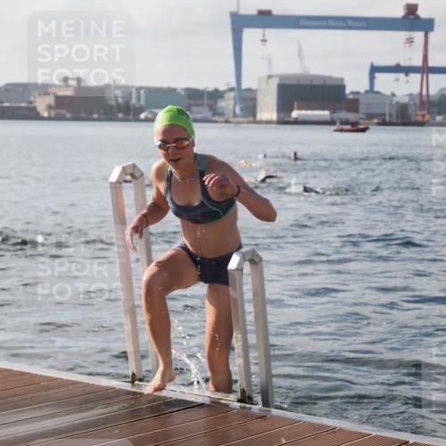 17.08.2025 - KN Förde Triathlon 2025 KatJ http://msf.ph/oto/8577476 17.08.2025 09:17:11 Schwimmen 158, 169, 204, 158, 169, 204 meine-sportfotos.de