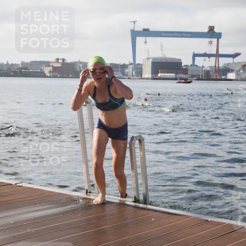 17.08.2025 - KN Förde Triathlon 2025 KatJ http://msf.ph/oto/8577483 17.08.2025 09:17:12 Schwimmen 158, 169, 204, 158, 169, 204 meine-sportfotos.de