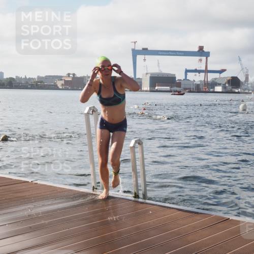 17.08.2025 - KN Förde Triathlon 2025 KatJ http://msf.ph/oto/8577485 17.08.2025 09:17:12 Schwimmen 158, 169, 204, 158, 169, 204 meine-sportfotos.de