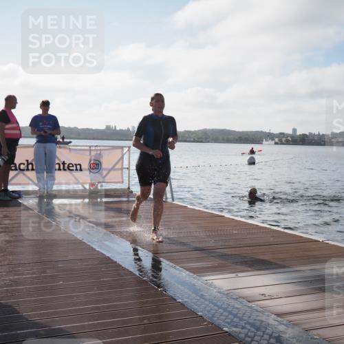 17.08.2025 - KN Förde Triathlon 2025 KatJ http://msf.ph/oto/8577497 17.08.2025 09:17:14 Schwimmen 158, 169, 204, 158, 169, 204 meine-sportfotos.de