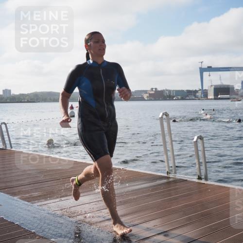17.08.2025 - KN Förde Triathlon 2025 KatJ http://msf.ph/oto/8577519 17.08.2025 09:17:15 Schwimmen 169, 204, 158, 169, 204 meine-sportfotos.de