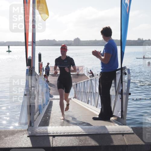 17.08.2025 - KN Förde Triathlon 2025 MichiJ http://msf.ph/oto/8577530 17.08.2025 09:14:38 Schwimmen 140, 128, 139, 140, 150, 155 meine-sportfotos.de