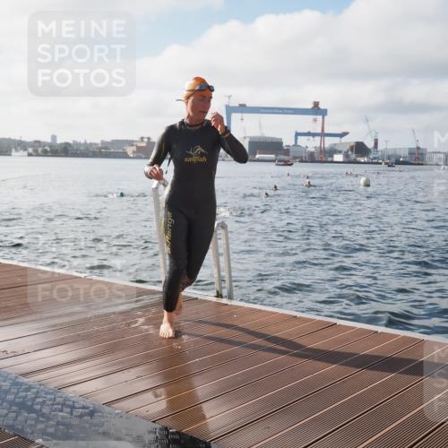 17.08.2025 - KN Förde Triathlon 2025 KatJ http://msf.ph/oto/8577829 17.08.2025 09:17:51 Schwimmen 161, 167, 170, 175, 180, 182, 161, 167, 170, 180, 182 meine-sportfotos.de