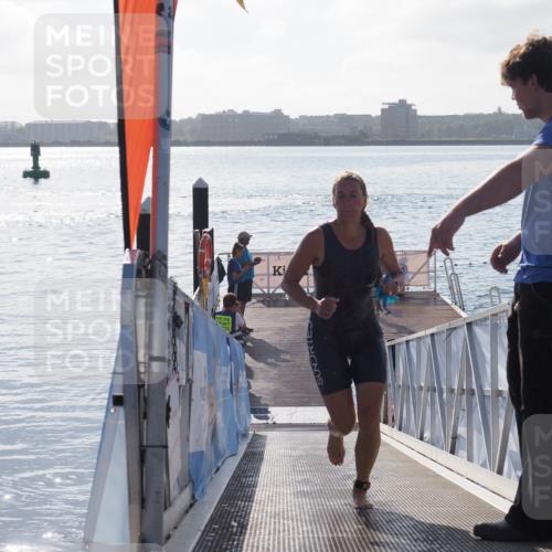17.08.2025 - KN Förde Triathlon 2025 MichiJ http://msf.ph/oto/8578042 17.08.2025 09:15:14 Schwimmen 133, 145, 147, 152, 143, 145 meine-sportfotos.de