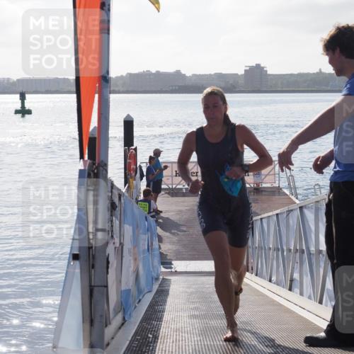 17.08.2025 - KN Förde Triathlon 2025 MichiJ http://msf.ph/oto/8578048 17.08.2025 09:15:14 Schwimmen 133, 145, 147, 152, 143, 145 meine-sportfotos.de