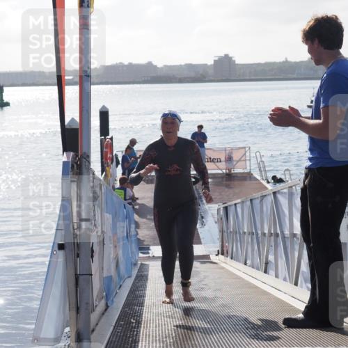 17.08.2025 - KN Förde Triathlon 2025 MichiJ http://msf.ph/oto/8578190 17.08.2025 09:15:33 Schwimmen 141, 143, 149, 131, 141, 149 meine-sportfotos.de