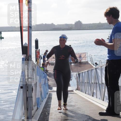 17.08.2025 - KN Förde Triathlon 2025 MichiJ http://msf.ph/oto/8578198 17.08.2025 09:15:33 Schwimmen 141, 143, 149, 131, 141, 149 meine-sportfotos.de