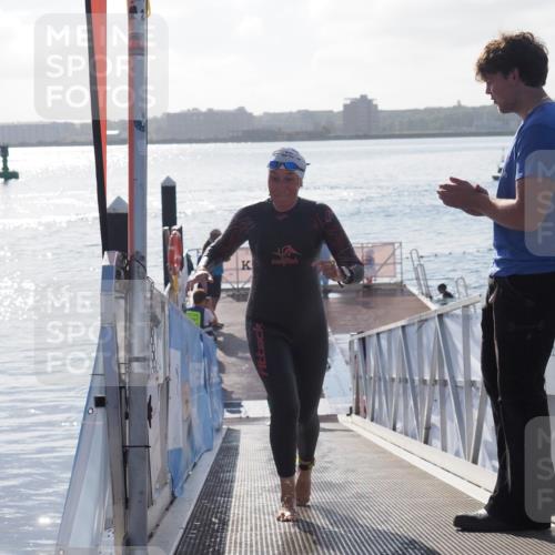 17.08.2025 - KN Förde Triathlon 2025 MichiJ http://msf.ph/oto/8578202 17.08.2025 09:15:33 Schwimmen 141, 143, 149, 131, 141, 149 meine-sportfotos.de