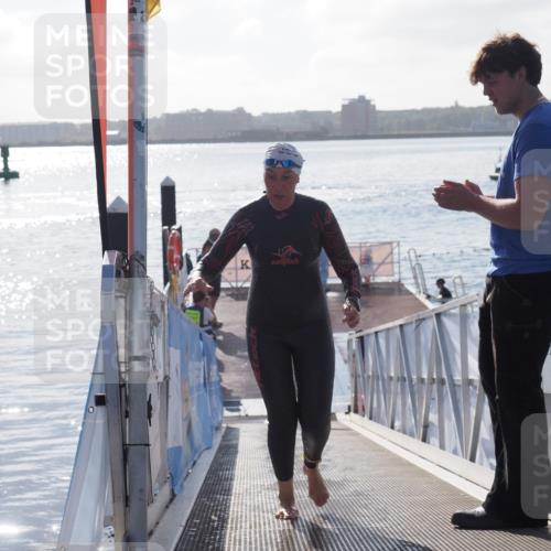 17.08.2025 - KN Förde Triathlon 2025 MichiJ http://msf.ph/oto/8578206 17.08.2025 09:15:33 Schwimmen 141, 143, 149, 131, 141, 149 meine-sportfotos.de
