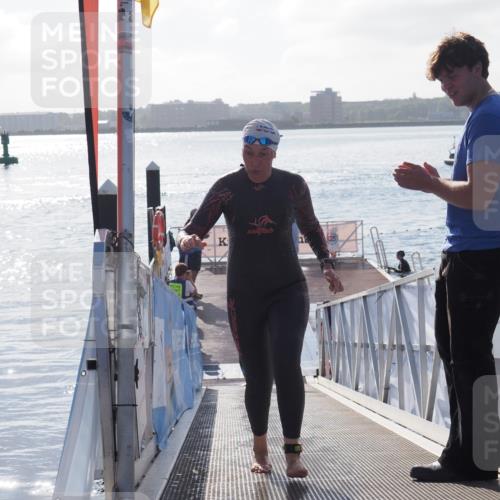 17.08.2025 - KN Förde Triathlon 2025 MichiJ http://msf.ph/oto/8578209 17.08.2025 09:15:33 Schwimmen 141, 143, 149, 131, 141, 149 meine-sportfotos.de