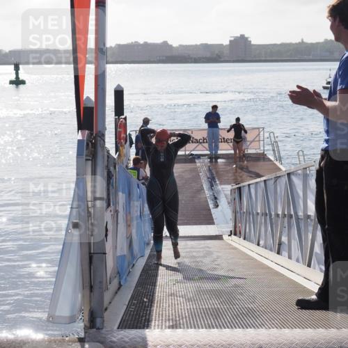 17.08.2025 - KN Förde Triathlon 2025 MichiJ http://msf.ph/oto/8578267 17.08.2025 09:15:39 Schwimmen 141, 149, 131 meine-sportfotos.de