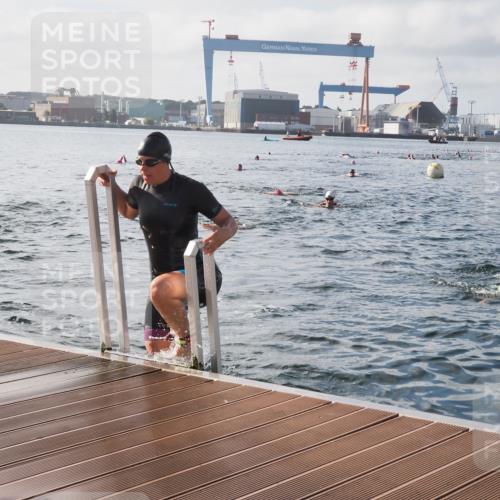 17.08.2025 - KN Förde Triathlon 2025 KatJ http://msf.ph/oto/8578328 17.08.2025 09:19:02 Schwimmen 173, 184, 173, 184 meine-sportfotos.de