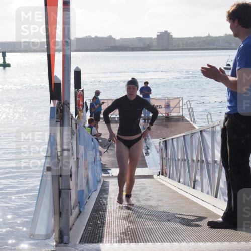 17.08.2025 - KN Förde Triathlon 2025 MichiJ http://msf.ph/oto/8578359 17.08.2025 09:15:46 Schwimmen 131, 141, 131 meine-sportfotos.de