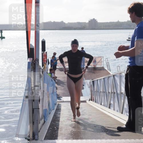 17.08.2025 - KN Förde Triathlon 2025 MichiJ http://msf.ph/oto/8578370 17.08.2025 09:15:46 Schwimmen 131, 141, 131 meine-sportfotos.de