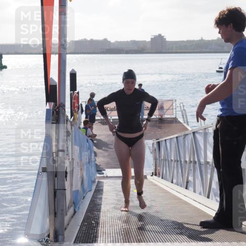 17.08.2025 - KN Förde Triathlon 2025 MichiJ http://msf.ph/oto/8578377 17.08.2025 09:15:46 Schwimmen 131, 141, 131 meine-sportfotos.de