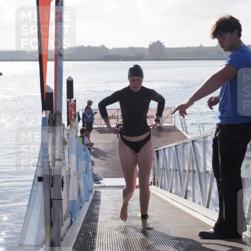 17.08.2025 - KN Förde Triathlon 2025 MichiJ http://msf.ph/oto/8578385 17.08.2025 09:15:47 Schwimmen 131, 141, 131, 168 meine-sportfotos.de