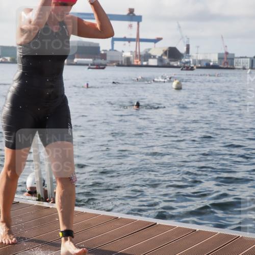 17.08.2025 - KN Förde Triathlon 2025 KatJ http://msf.ph/oto/8578561 17.08.2025 09:19:26 Schwimmen 183, 186, 187, 183, 186, 187, 219, 220 meine-sportfotos.de