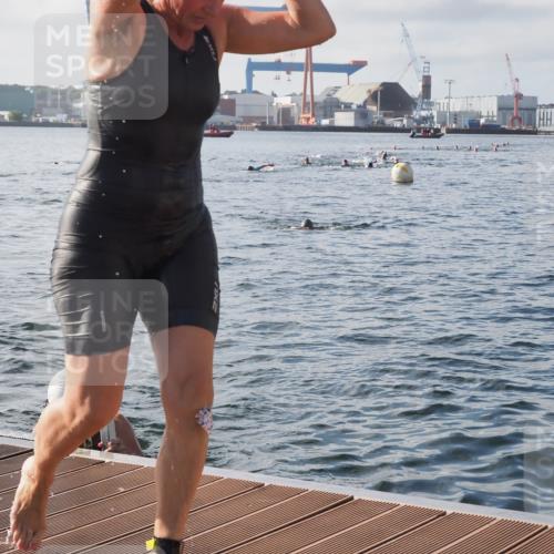 17.08.2025 - KN Förde Triathlon 2025 KatJ http://msf.ph/oto/8578565 17.08.2025 09:19:26 Schwimmen 183, 186, 187, 183, 186, 187, 219, 220 meine-sportfotos.de