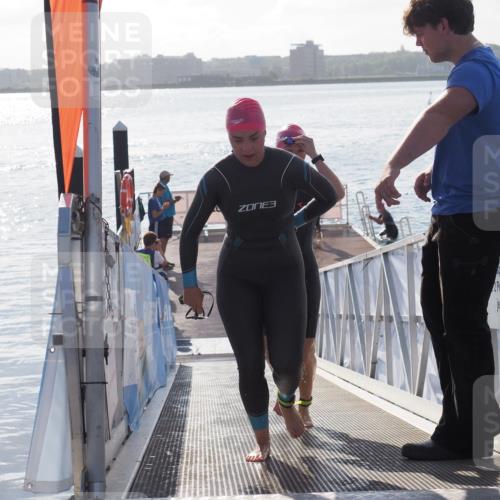 17.08.2025 - KN Förde Triathlon 2025 MichiJ http://msf.ph/oto/8578599 17.08.2025 09:16:09 Schwimmen 137, 162, 168, 137, 156, 162, 164 meine-sportfotos.de