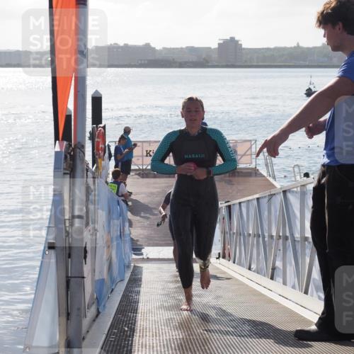 17.08.2025 - KN Förde Triathlon 2025 MichiJ http://msf.ph/oto/8578701 17.08.2025 09:16:18 Schwimmen 137, 156, 162, 164, 156, 164, 166 meine-sportfotos.de