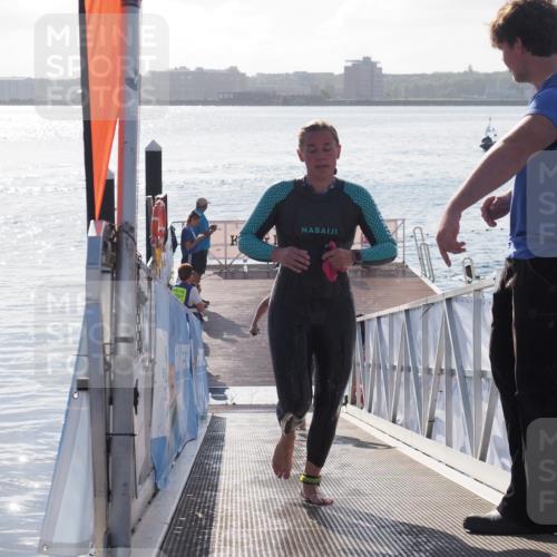 17.08.2025 - KN Förde Triathlon 2025 MichiJ http://msf.ph/oto/8578705 17.08.2025 09:16:18 Schwimmen 137, 156, 162, 164, 156, 164, 166 meine-sportfotos.de