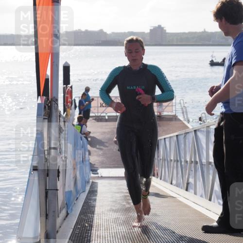 17.08.2025 - KN Förde Triathlon 2025 MichiJ http://msf.ph/oto/8578714 17.08.2025 09:16:18 Schwimmen 137, 156, 162, 164, 156, 164, 166 meine-sportfotos.de