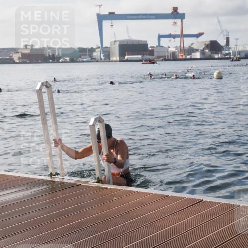 17.08.2025 - KN Förde Triathlon 2025 KatJ http://msf.ph/oto/8578774 17.08.2025 09:19:46 Schwimmen 163, 190, 202, 163, 190, 202 meine-sportfotos.de