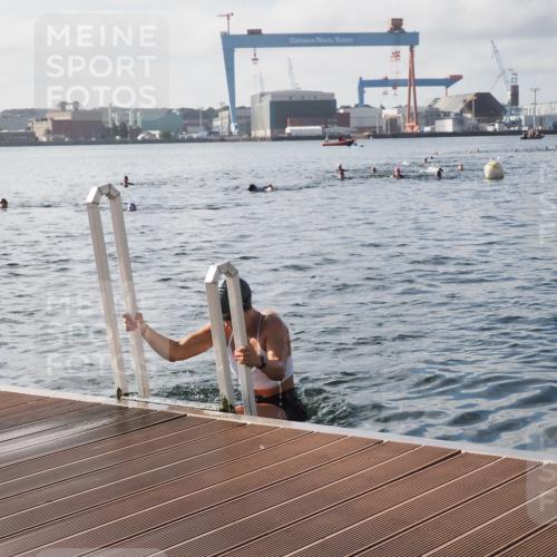 17.08.2025 - KN Förde Triathlon 2025 KatJ http://msf.ph/oto/8578777 17.08.2025 09:19:46 Schwimmen 163, 190, 202, 163, 190, 202 meine-sportfotos.de