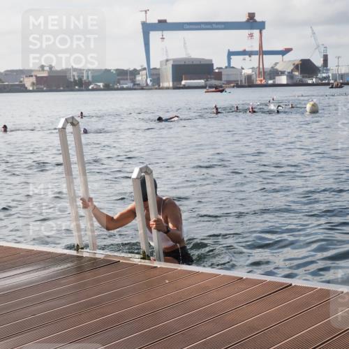 17.08.2025 - KN Förde Triathlon 2025 KatJ http://msf.ph/oto/8578781 17.08.2025 09:19:46 Schwimmen 163, 190, 202, 163, 190, 202 meine-sportfotos.de