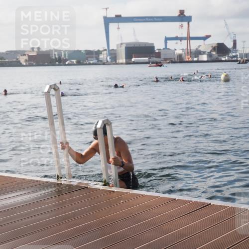 17.08.2025 - KN Förde Triathlon 2025 KatJ http://msf.ph/oto/8578785 17.08.2025 09:19:46 Schwimmen 163, 190, 202, 163, 190, 202 meine-sportfotos.de