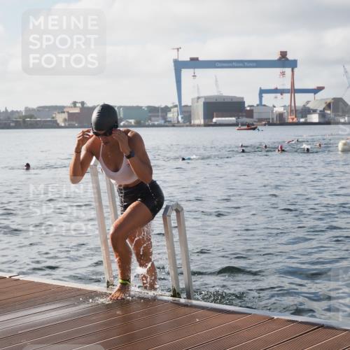 17.08.2025 - KN Förde Triathlon 2025 KatJ http://msf.ph/oto/8578801 17.08.2025 09:19:48 Schwimmen 163, 190, 202, 163, 190, 202 meine-sportfotos.de