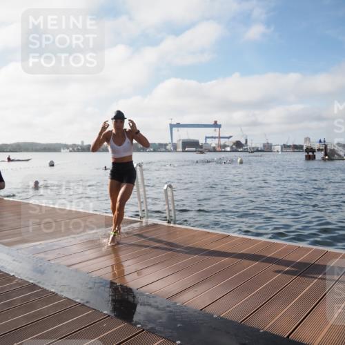 17.08.2025 - KN Förde Triathlon 2025 KatJ http://msf.ph/oto/8578821 17.08.2025 09:19:49 Schwimmen 163, 190, 202, 163, 190, 202 meine-sportfotos.de