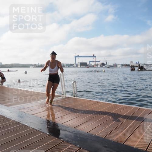 17.08.2025 - KN Förde Triathlon 2025 KatJ http://msf.ph/oto/8578822 17.08.2025 09:19:49 Schwimmen 163, 190, 202, 163, 190, 202 meine-sportfotos.de