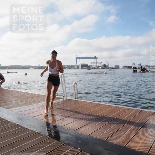 17.08.2025 - KN Förde Triathlon 2025 KatJ http://msf.ph/oto/8578826 17.08.2025 09:19:49 Schwimmen 163, 190, 202, 163, 190, 202 meine-sportfotos.de