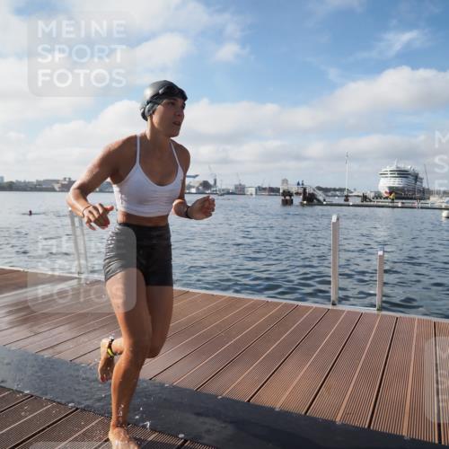 17.08.2025 - KN Förde Triathlon 2025 KatJ http://msf.ph/oto/8578843 17.08.2025 09:19:50 Schwimmen 163, 190, 195, 202, 163, 190, 202 meine-sportfotos.de